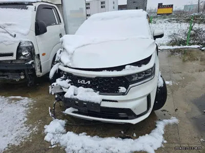 2022 Kia Sorento KNARL81GBNA112583 VIN:KNARL81GBNA112583