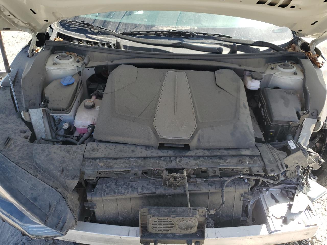 2022 KIA EV6 LIGHT VIN:KNDC34LAXN5031217