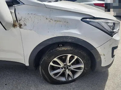 2014 Hyundai Santa FE VIN: