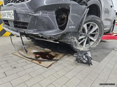 2019 Kia Sorento KNAPS81BDKA479026 VIN:KNAPS81BDKA479026