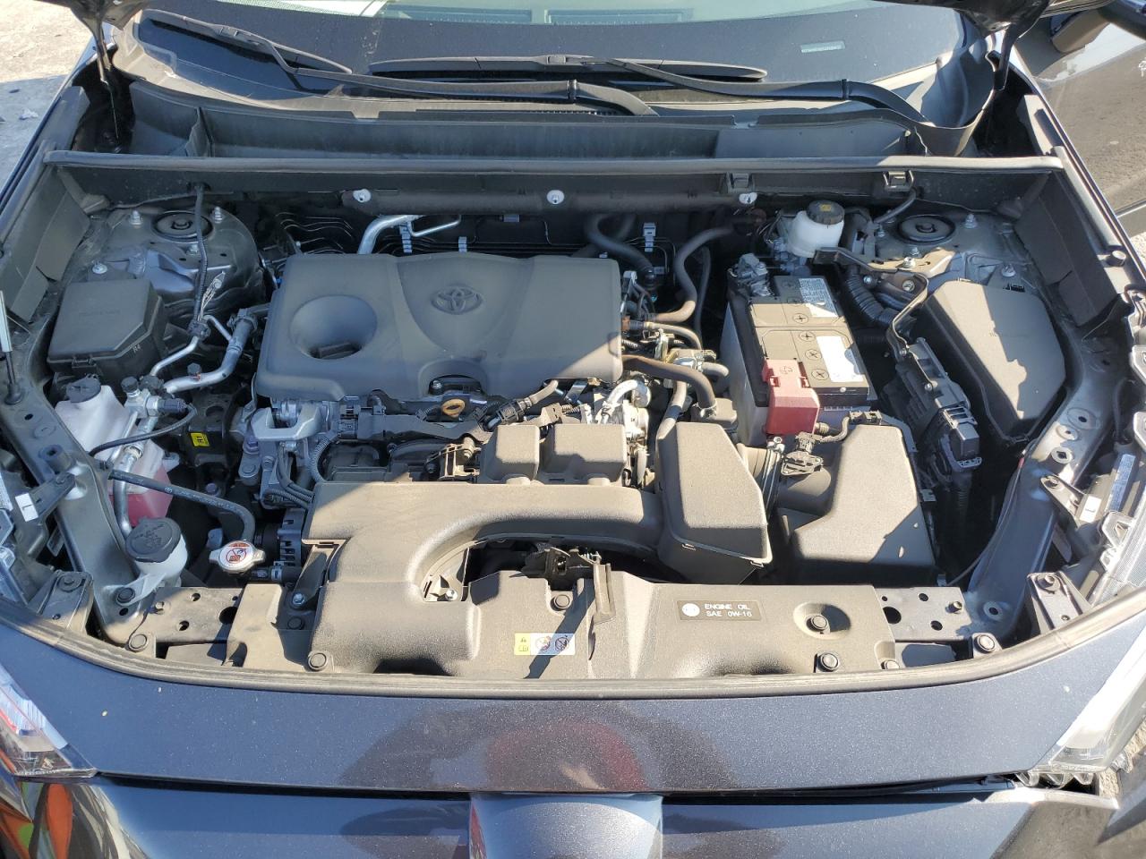 2023 TOYOTA RAV4 XLE VIN:2T3W1RFV8PC240208