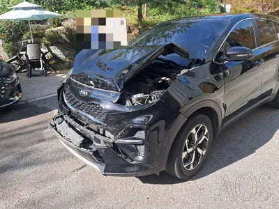 2019 Kia Sportage KNAPL812GKK737170 VIN:KNAPL812GKK737170