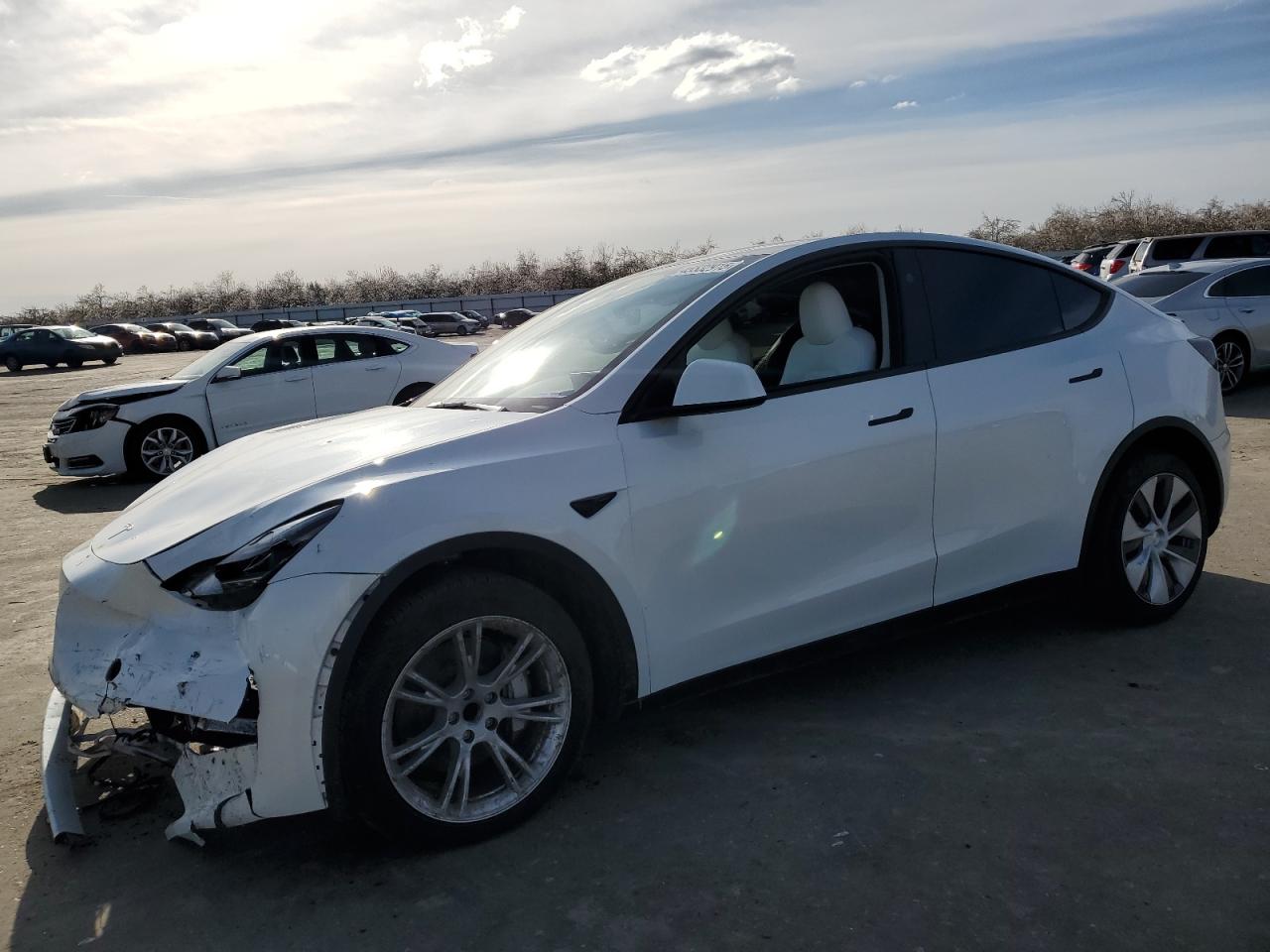2024 TESLA MODEL Y  VIN:7SAYGDED4RF055859