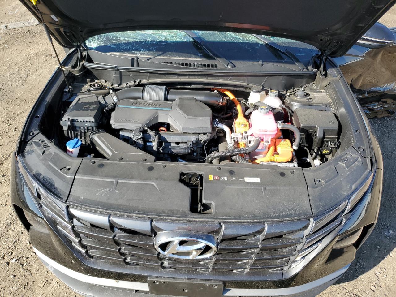 2024 HYUNDAI TUCSON SEL CONVENIENCE VIN:KM8JCCD17RU181289
