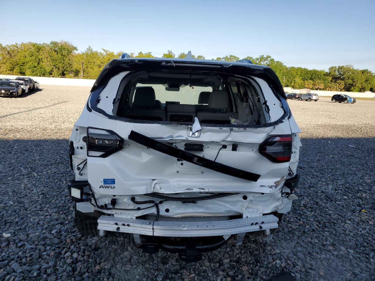 2024 HONDA PILOT ELITE VIN:5FNYG1H81RB043050