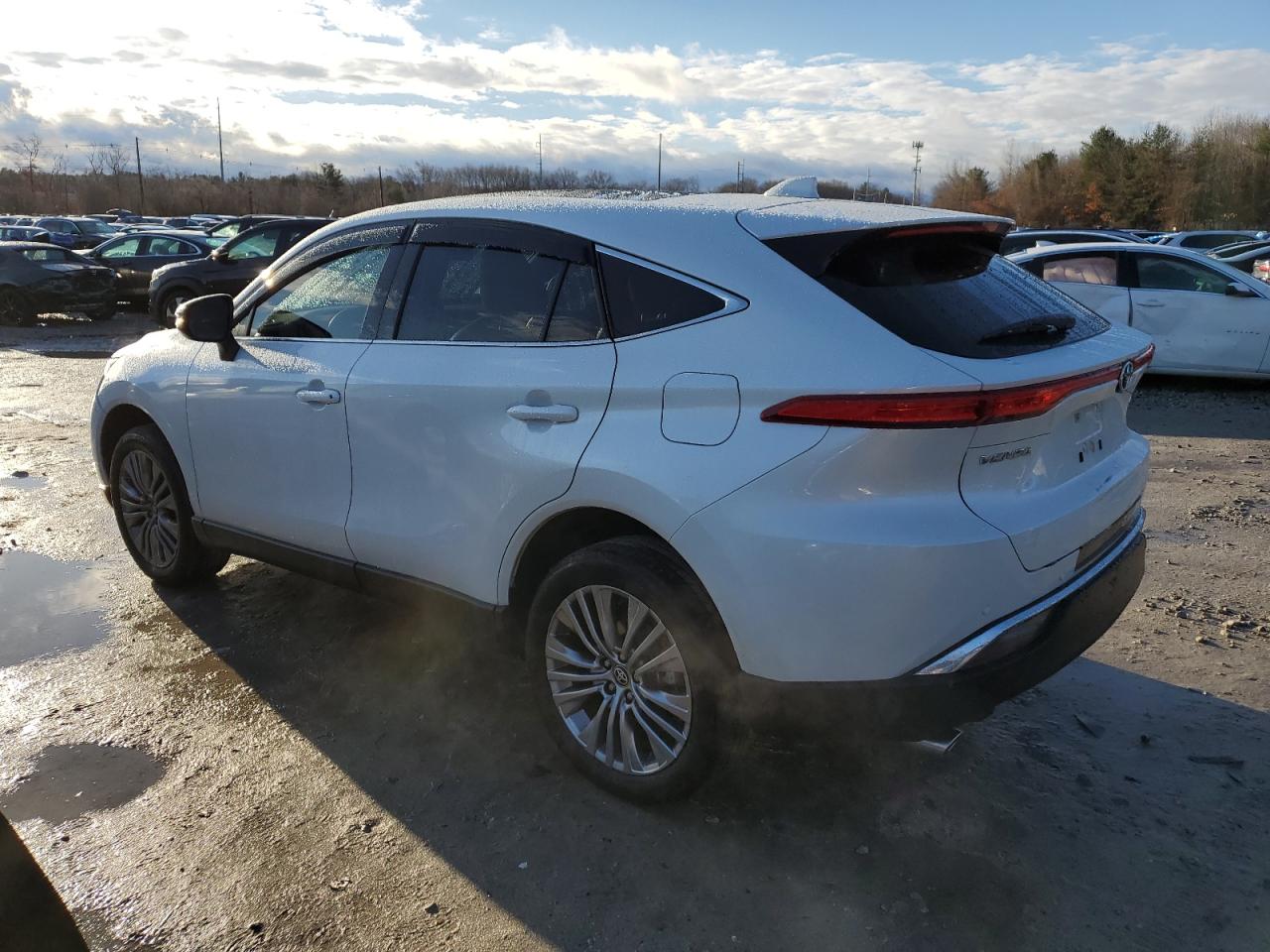 2023 TOYOTA VENZA LE VIN:JTEAAAAH2PJ147707