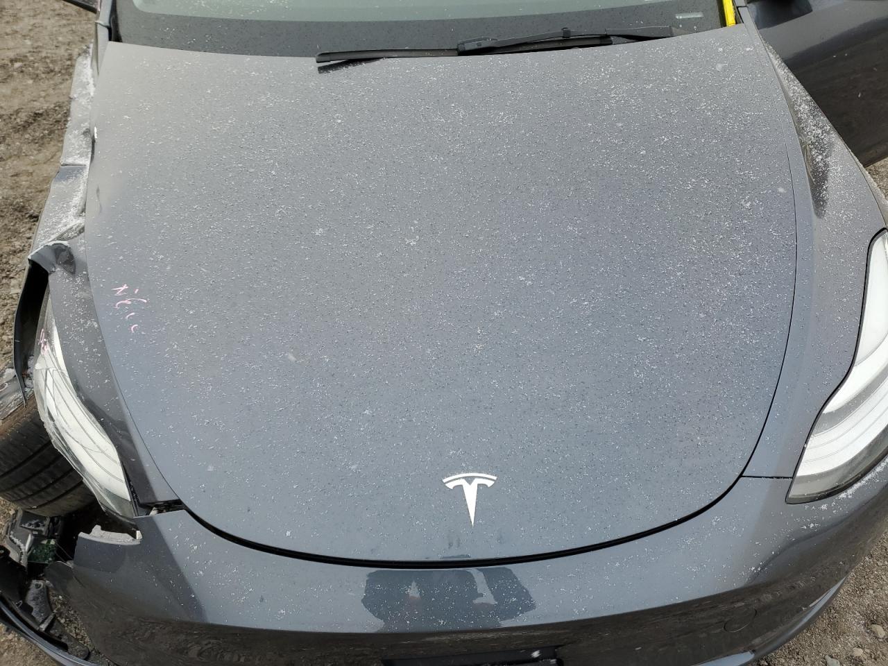 2023 TESLA MODEL Y  VIN:7SAYGDEE8PA043653