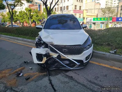 2017 Kia Sorento KNAPS81ABHA322489 VIN:KNAPS81ABHA322489