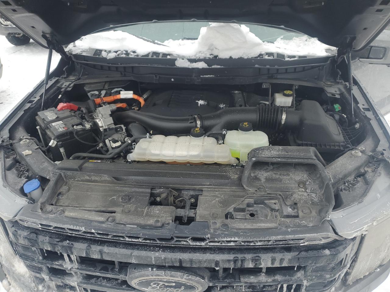 2023 FORD F150 SUPERCREW VIN:1FTFW1ED9PFB01281
