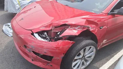 2020 Tesla Model 3 5YJ3E1EB6LF695539 VIN:5YJ3E1EB6LF695539