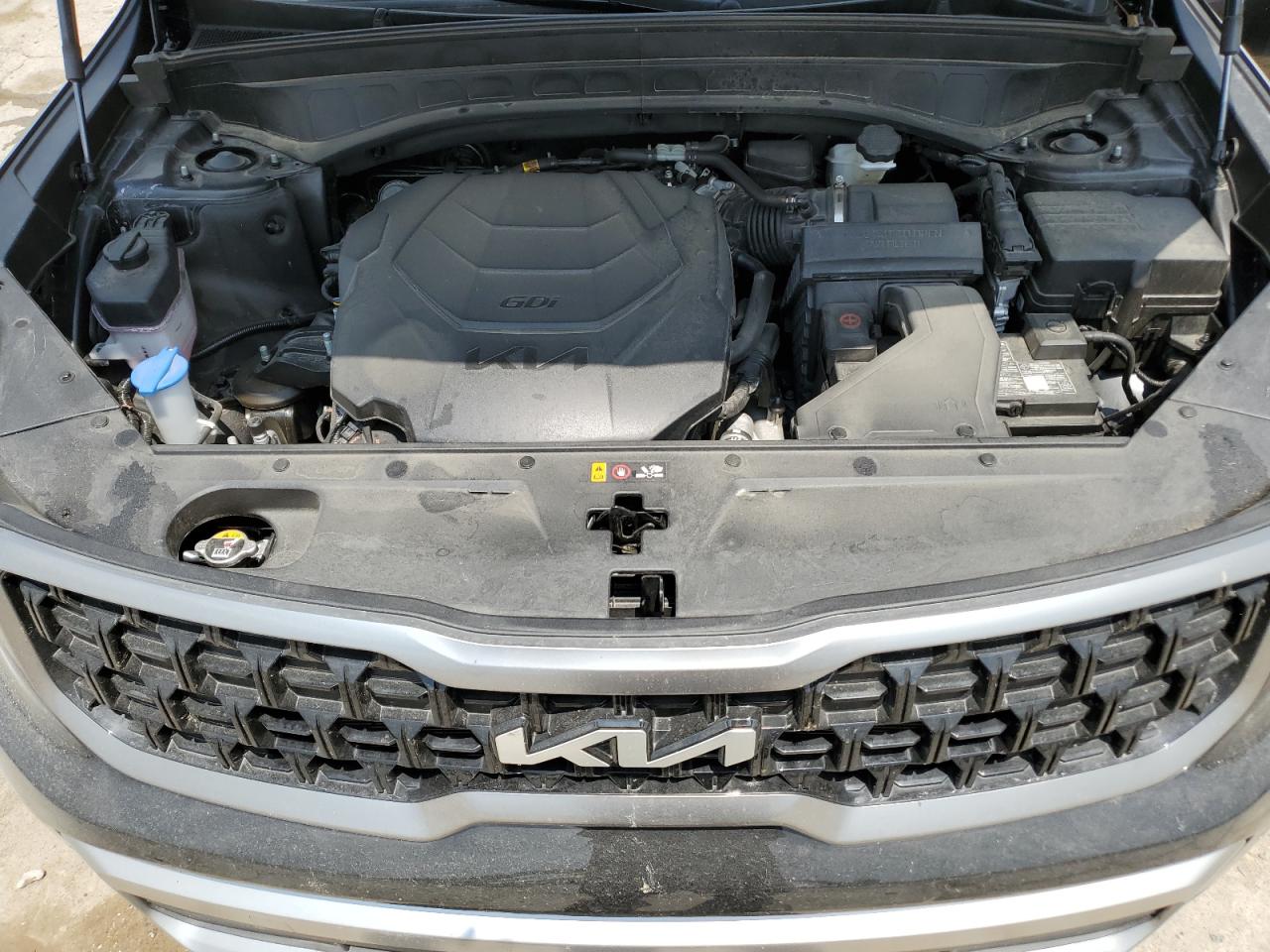 2023 KIA TELLURIDE EX VIN:5XYP3DGC9PG409387
