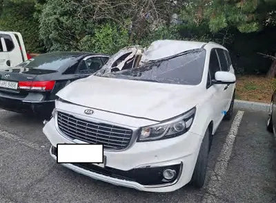 2018 Kia Carnival KNAMB81ABJS417601 VIN:KNAMB81ABJS417601