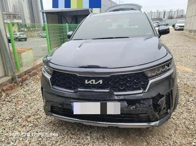 2023 Kia Sorento KNARL81BGPA239933 VIN:KNARL81BGPA239933