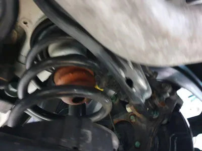 2020 Kia Carnival KNANB81BBMS024261 VIN:KNANB81BBMS024261
