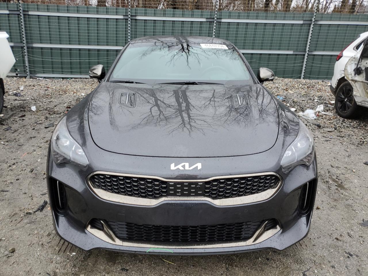 2023 KIA STINGER GT2 VIN:KNAE55LCXP6135596