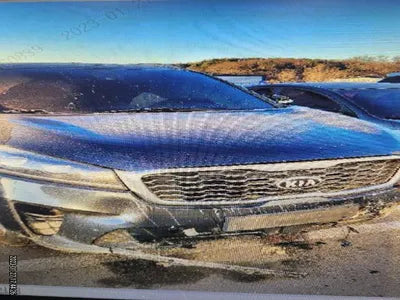 2020 Kia Sorento KNAPS81BDLA607334 VIN:KNAPS81BDLA607334