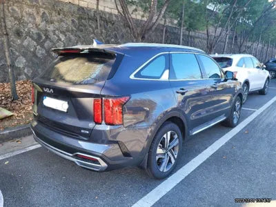 2023 Kia Sorento KNARF81GBPA148066 VIN:KNARF81GBPA148066