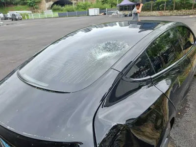 2020 Tesla Model 3 5YJ3E1EBXLF774003 VIN:5YJ3E1EBXLF774003