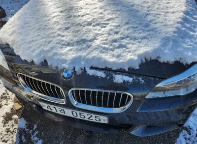 2016 BMW 520 WBA5E7100GG156455 VIN:WBA5E7100GG156455