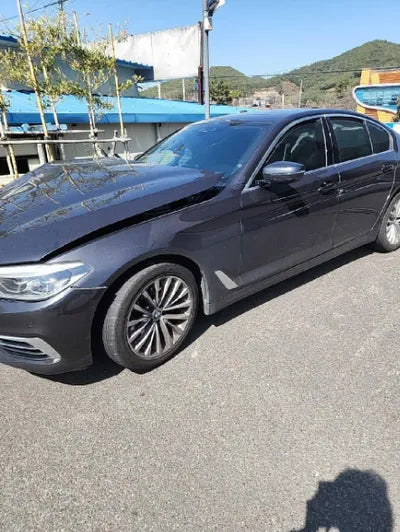 2020 BMW 520 WBAJF3109LWW57168 VIN:WBAJF3109LWW57168