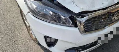 2019 Kia Sorento KNAPK81BDLA554946 VIN:KNAPK81BDLA554946
