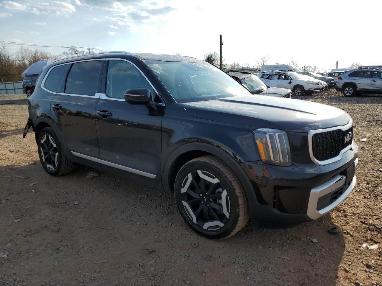 2024 KIA TELLURIDE EX VIN:5XYP3DGC2RG426177