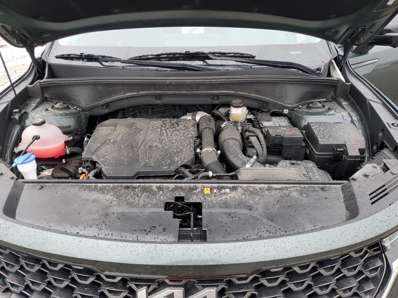 2023 KIA SORENTO SX VIN:5XYRKDLF6PG190206