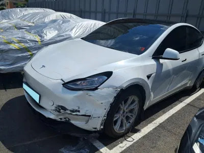 2021 Tesla Model Y 5YJYGDED1MF172000 VIN:5YJYGDED1MF172000