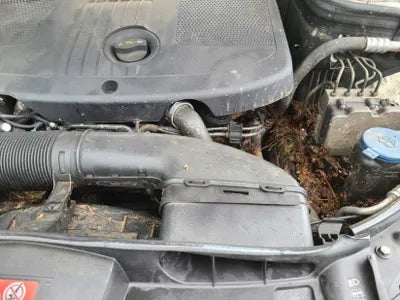 2014 Mercedes-Benz E 220 VIN: