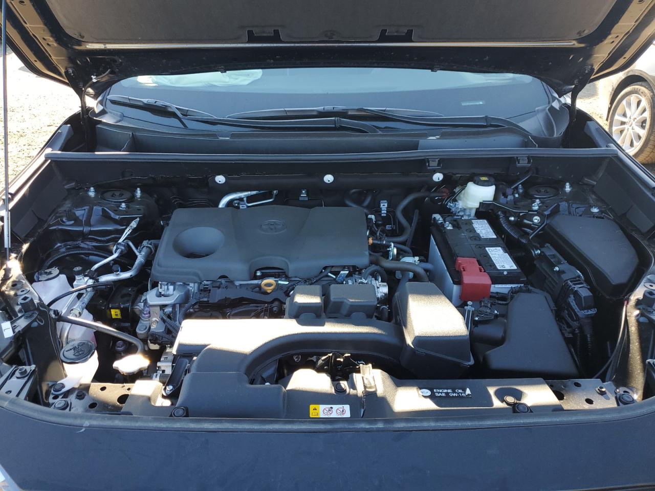 2024 TOYOTA RAV4 XLE VIN:2T3P1RFV9RC474963
