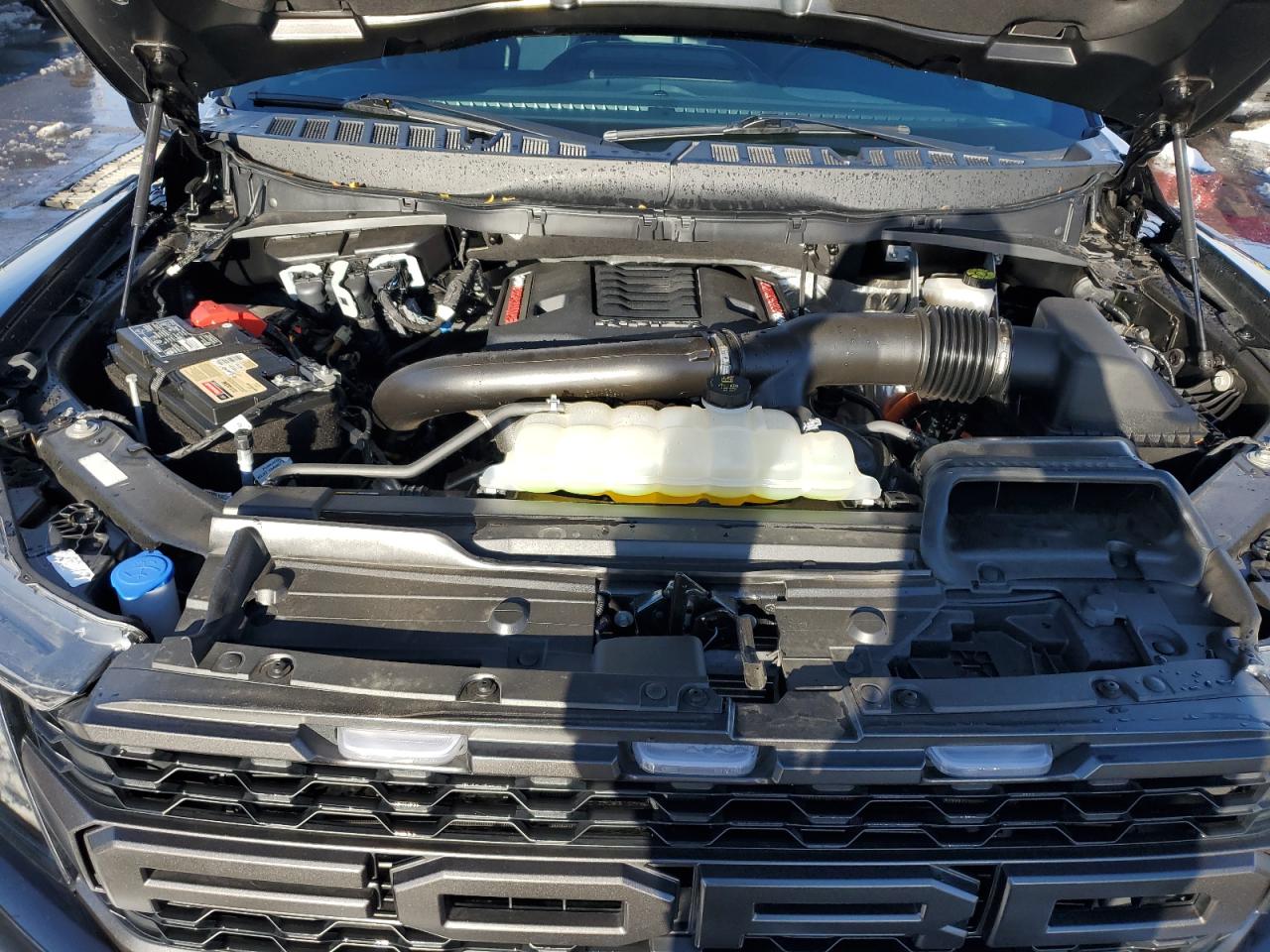 2023 FORD F150 RAPTOR VIN:1FTFW1RG8PFC55260