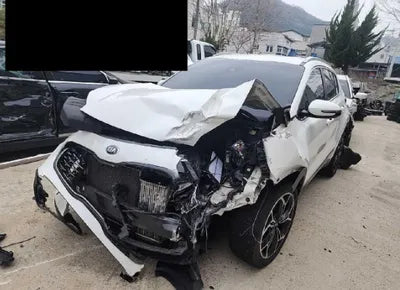 2019 Kia Sportage KNAPR813BKK557772 VIN:KNAPR813BKK557772