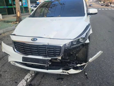2019 Kia Carnival KNAMB81ABKS601953 VIN:KNAMB81ABKS601953