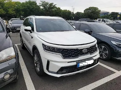 2021 Kia Sorento KNARL81BHMA061163 VIN:KNARL81BHMA061163