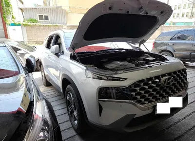 2021 Hyundai Santa FE KMHS381HGMU317830 VIN:KMHS381HGMU317830