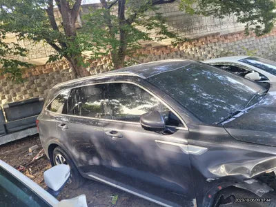 2021 Kia Sorento KNARH81BGMA100573 VIN:KNARH81BGMA100573