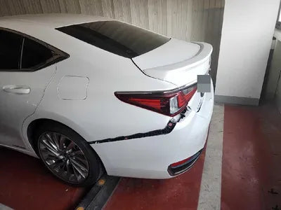 2020 Lexus ES 300 JTHB21B19L2100099 VIN:JTHB21B19L2100099