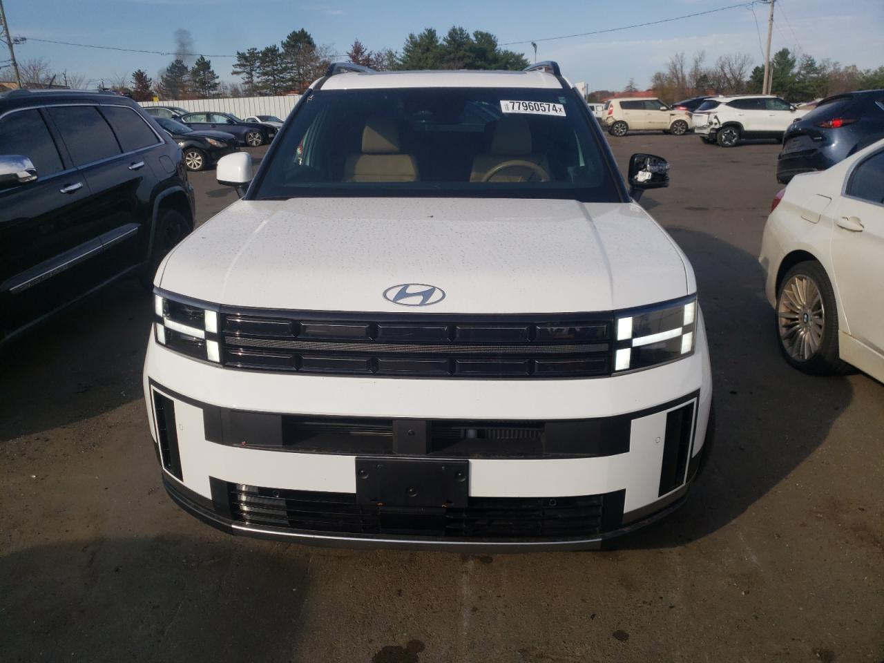 2024 HYUNDAI SANTA FE LIMITED VIN:5NMP4DGLXRH013233