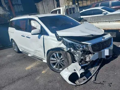 2016 Kia Carnival KNAMB81ABGS220173 VIN:KNAMB81ABGS220173