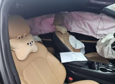 2020 Kia K5 KNAG6412BLA032912 VIN:KNAG6412BLA032912