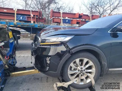 2019 Kia Sorento 324KMKNAPK81BBKA5 VIN:324KMKNAPK81BBKA5
