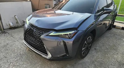 2019 Lexus UX 250 JTHU9JBH4K2002923 VIN:JTHU9JBH4K2002923