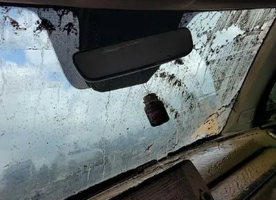 2021 Kia Sorento KNARK81BGMA026012 VIN:KNARK81BGMA026012