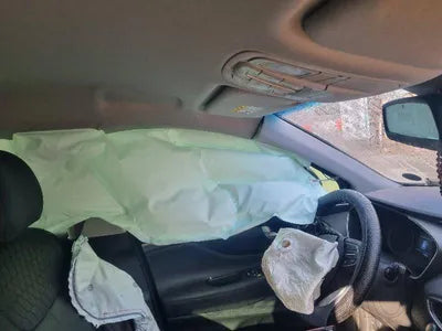 2019 Hyundai Santa FE KMHS281BBLU214044 VIN:KMHS281BBLU214044