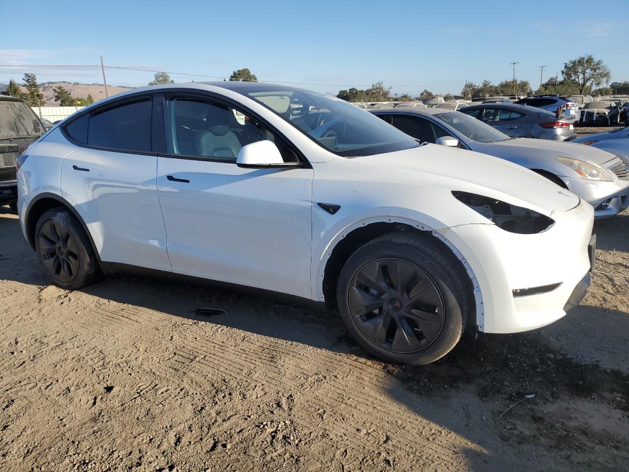 2024 TESLA MODEL Y  VIN:7SAYGDED8RF156144