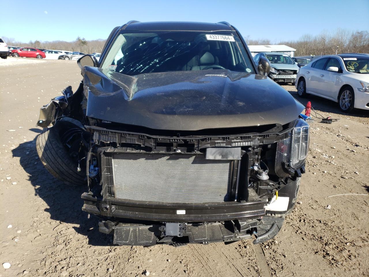 2024 KIA TELLURIDE EX VIN:5XYP3DGC8RG441041