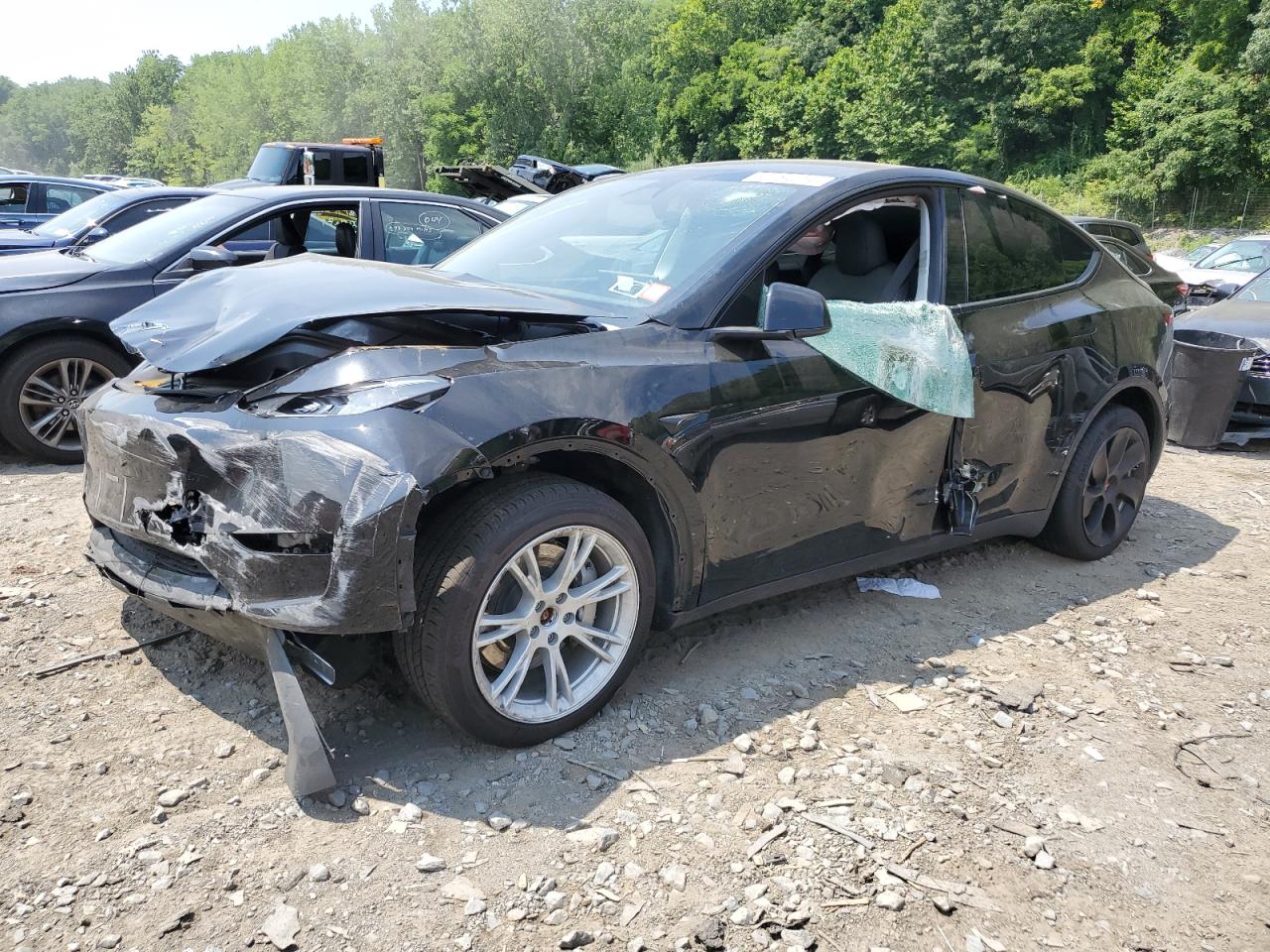 2023 TESLA MODEL Y  VIN:7SAYGDEE1PA149474
