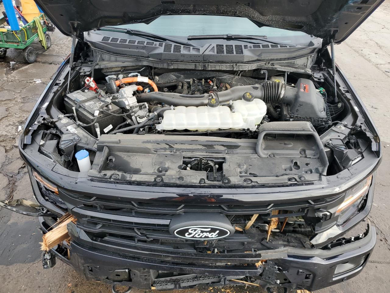 2024 FORD F150 XLT VIN:1FTFW3LD9RFA43948
