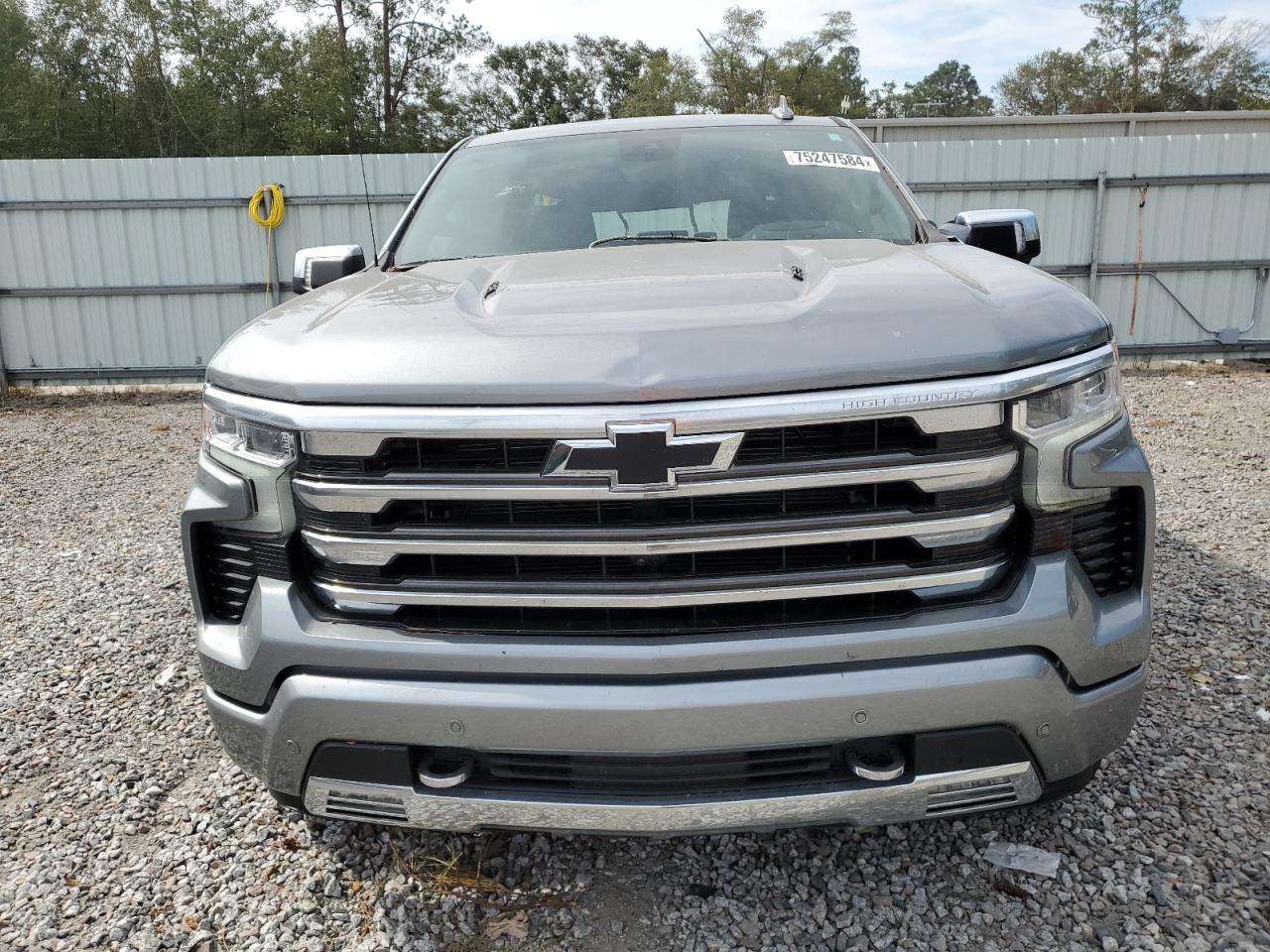 2023 CHEVROLET SILVERADO K1500 HIGH COUNTRY VIN:1GCUDJEL2PZ154410
