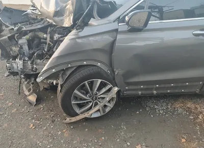 2020 Hyundai Santa FE KMKMHS281BBLU2313 VIN:KMKMHS281BBLU2313